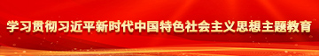 日骚逼网站学习贯彻习近平新时代中国特色社会主义思想主题教育